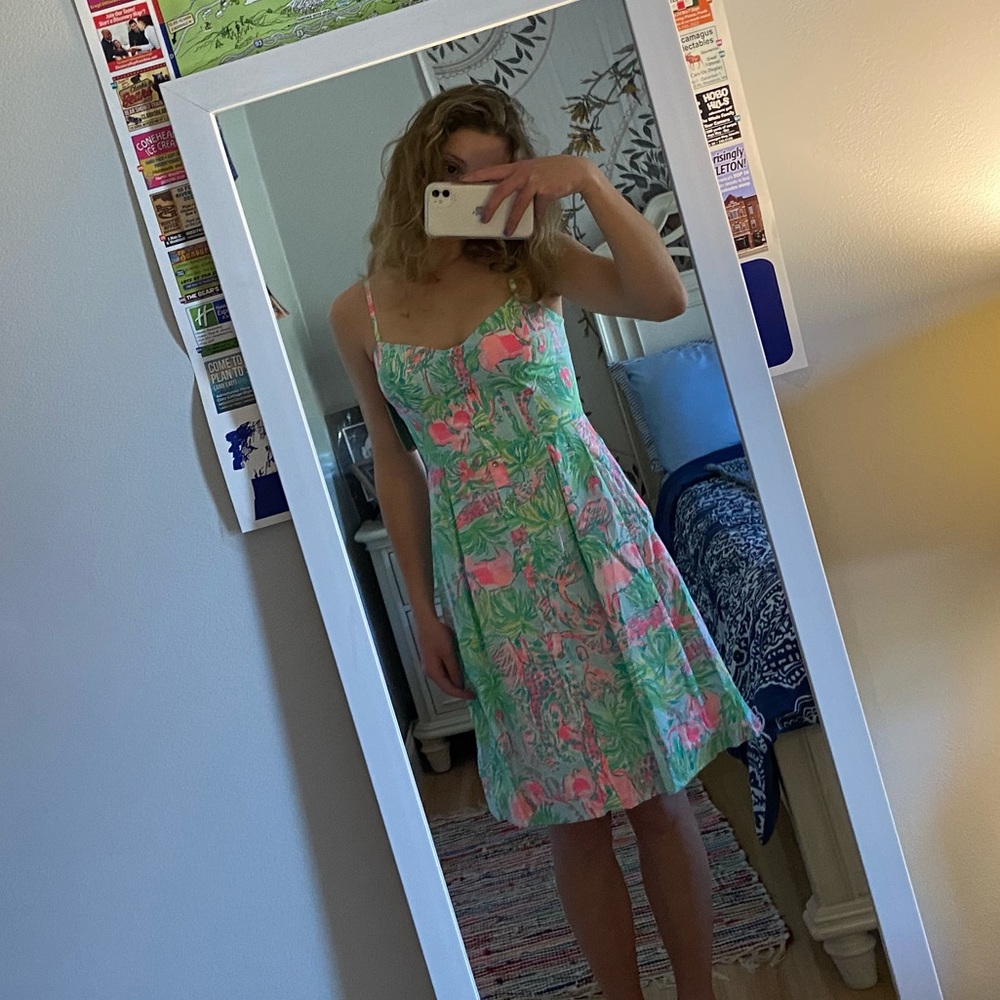 Lily Putlitzer Dress